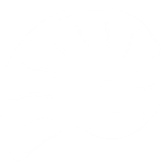 Fossilised
